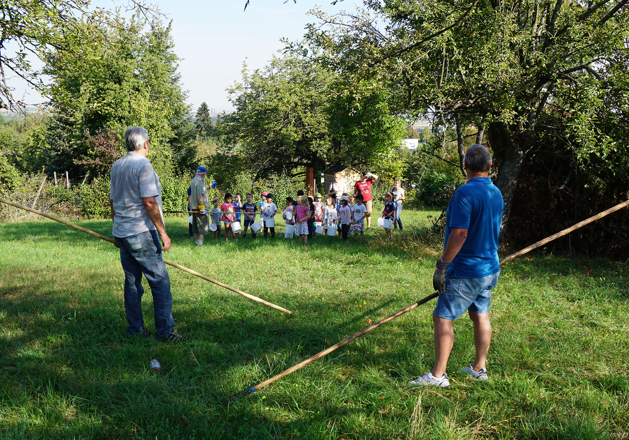 Kinder helfen bei der Apfellese auf Gerlinger Streuobstwiesen Kinder helfen bei der Apfellese auf Gerlinger Streuobstwiesen