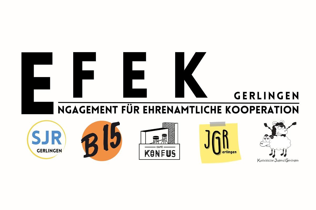 Logo EFEK