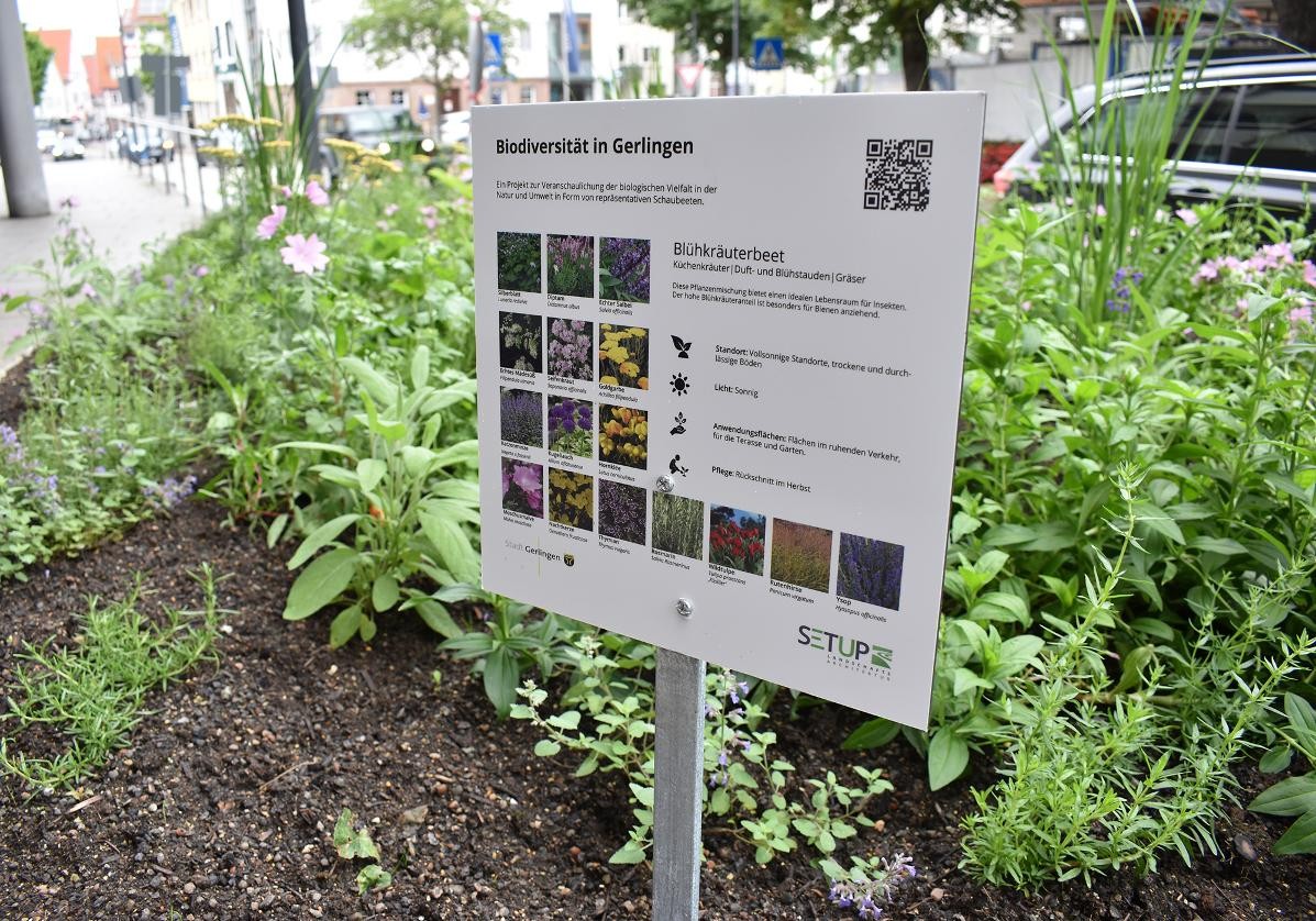 Städtische Pflanzfläche in der Hauptstraße Gerlingen
