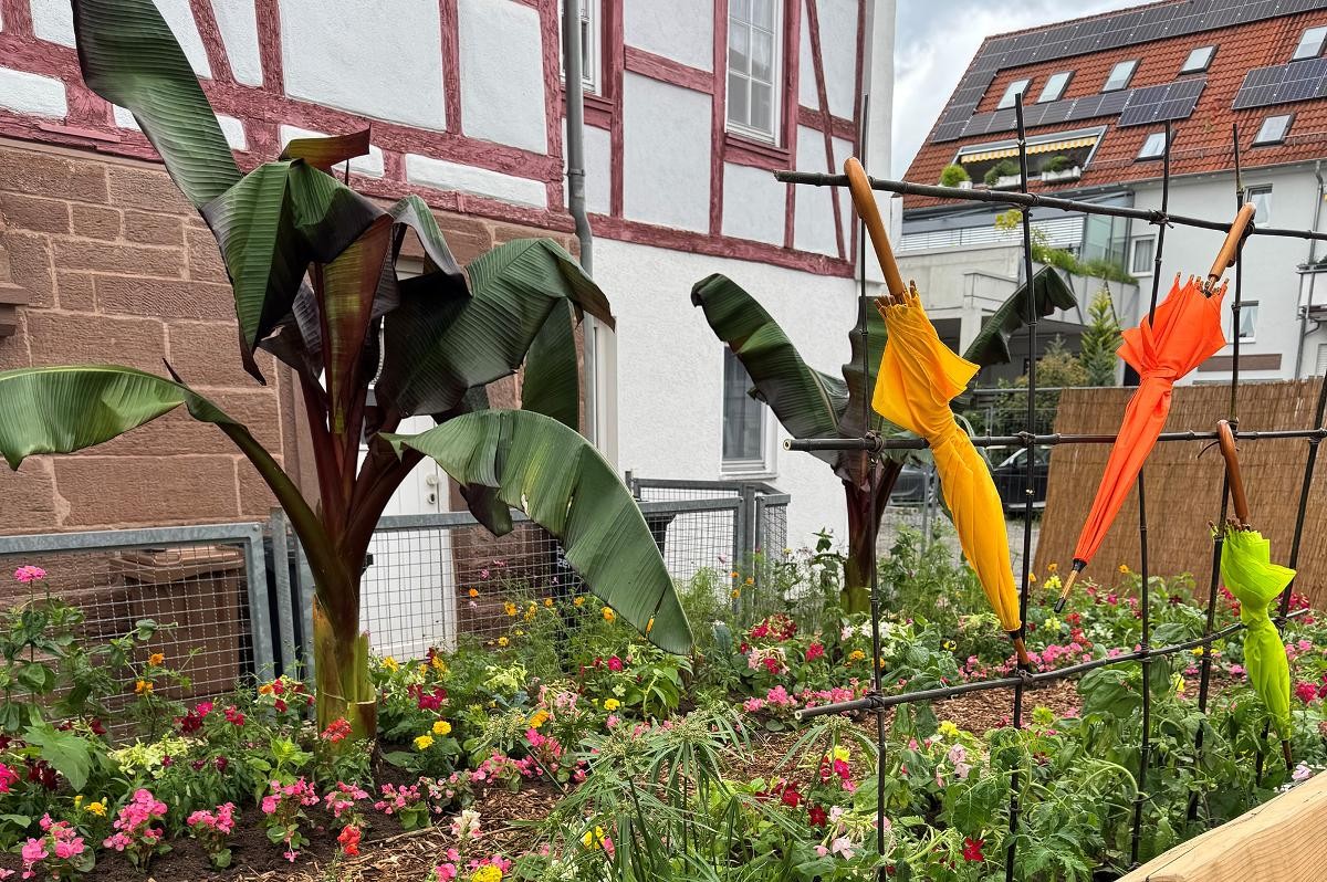 Angelegtes Beet an der Hauptstraße Gerlingen