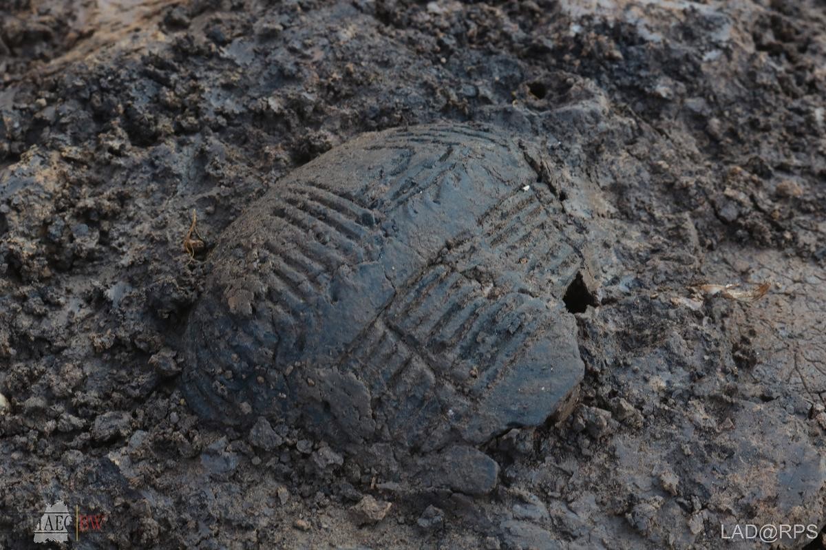 © Landesamt für Denkmalpflege im Regierungspräsidium Stuttgart / ArchaeoBW GmbH, M. Maugeri