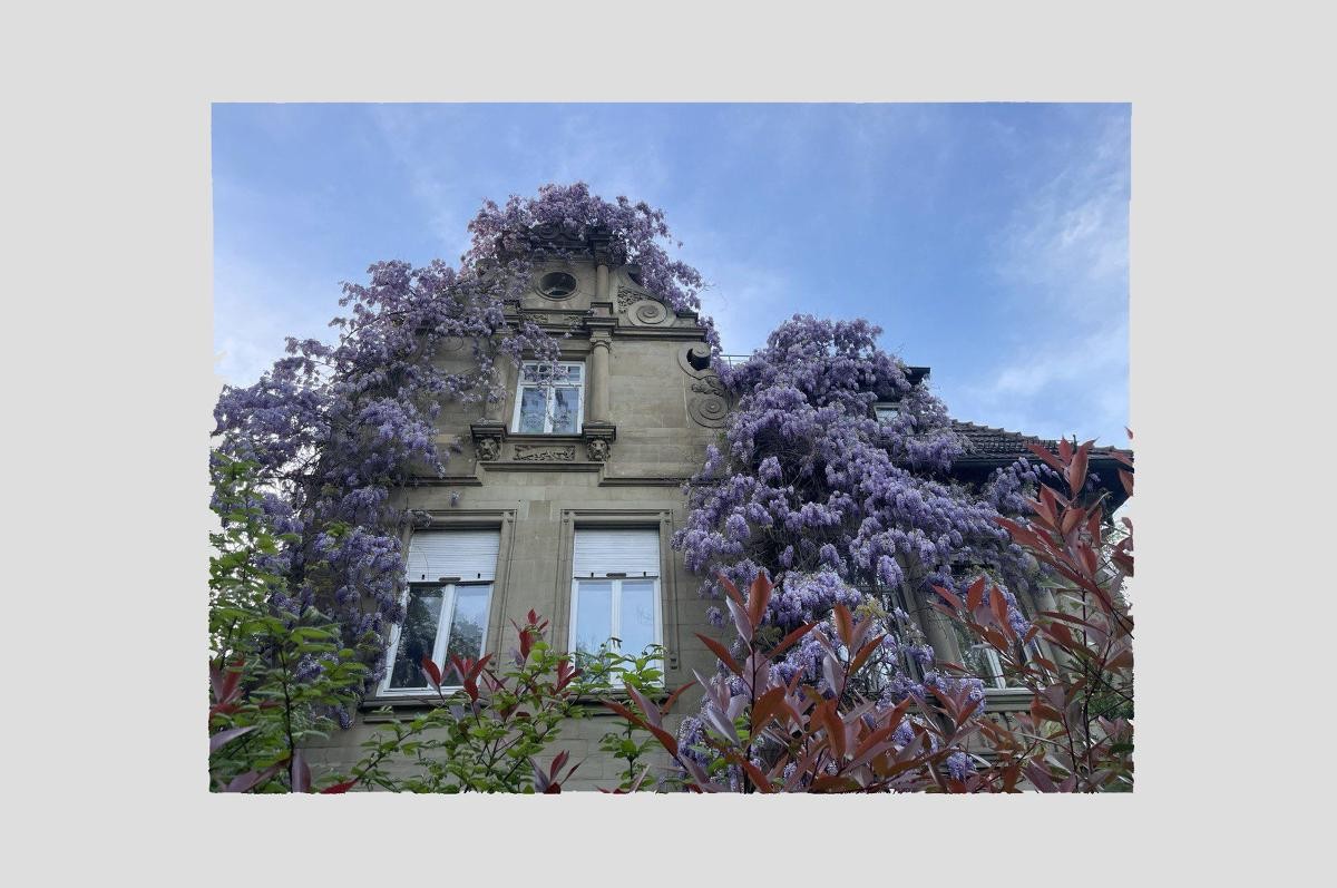 Unter Denkmalschutz stehendes Gebäude