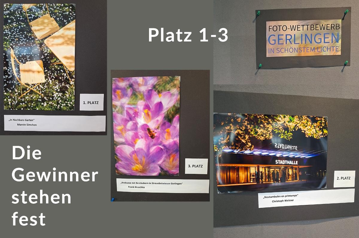 Fotografien des Fotowettbewerbs