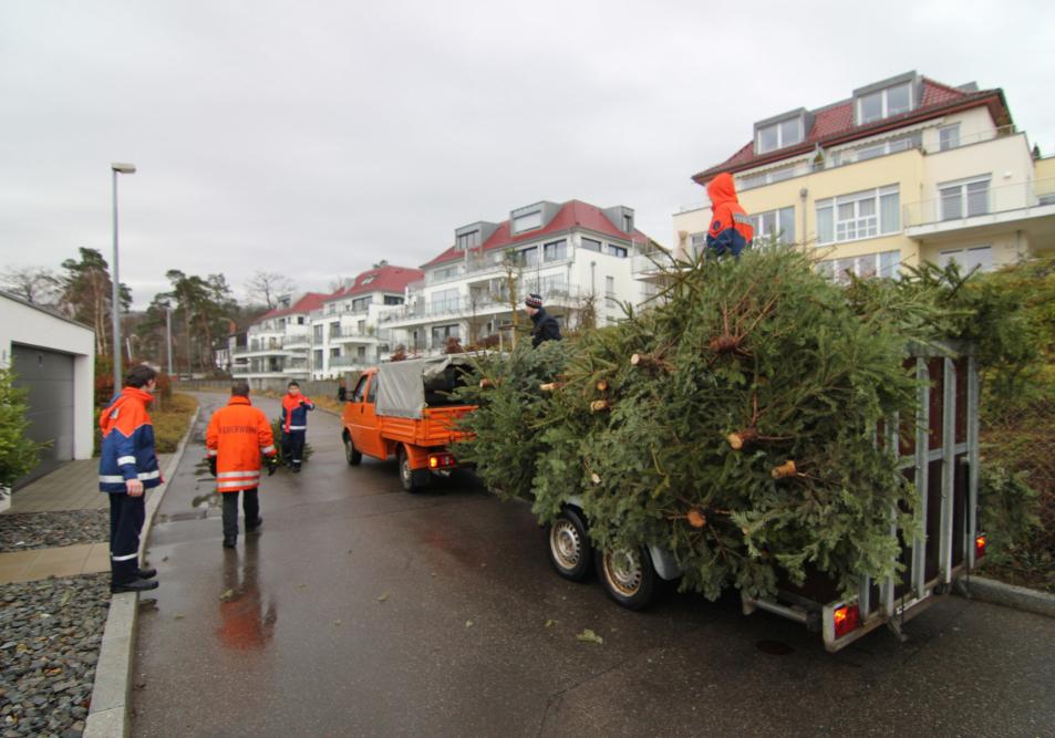 Sammelaktion von Weihnachtsbäumen der Jugendfeuerwehr Gerlingen Sammelaktion von Weihnachtsbäumen der Jugendfeuerwehr Gerlingen