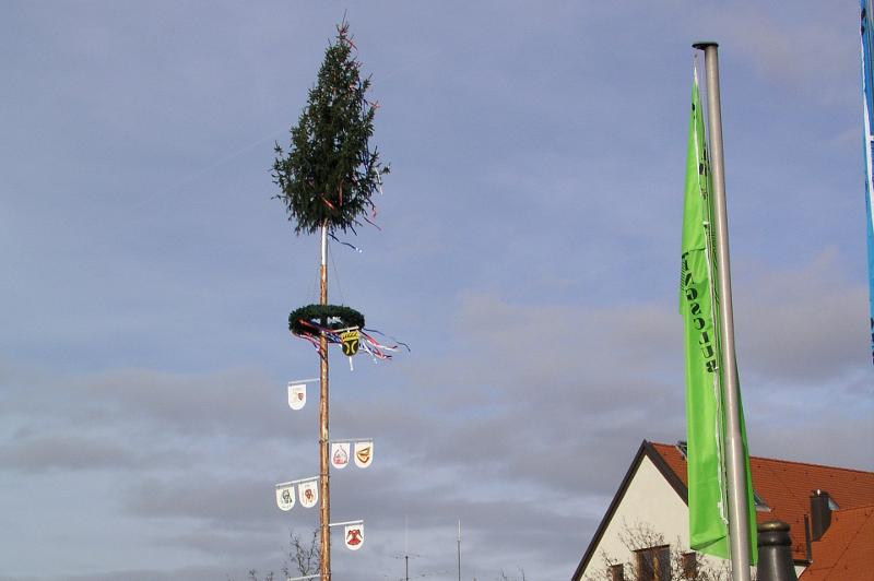 Narrenbaum auf dem Rathausplatz