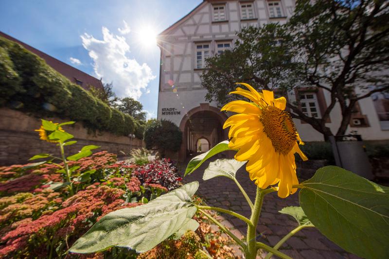 Stadtmuseum