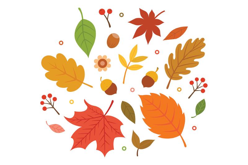 Herbstblätter