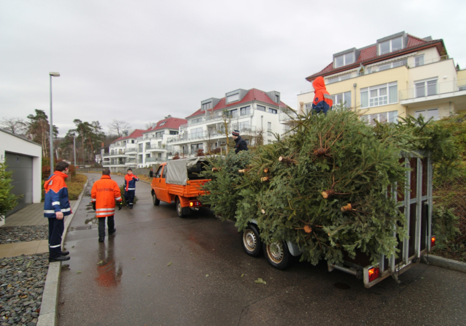 Jugendfeuerwehr mit Weihnachtsbäumen